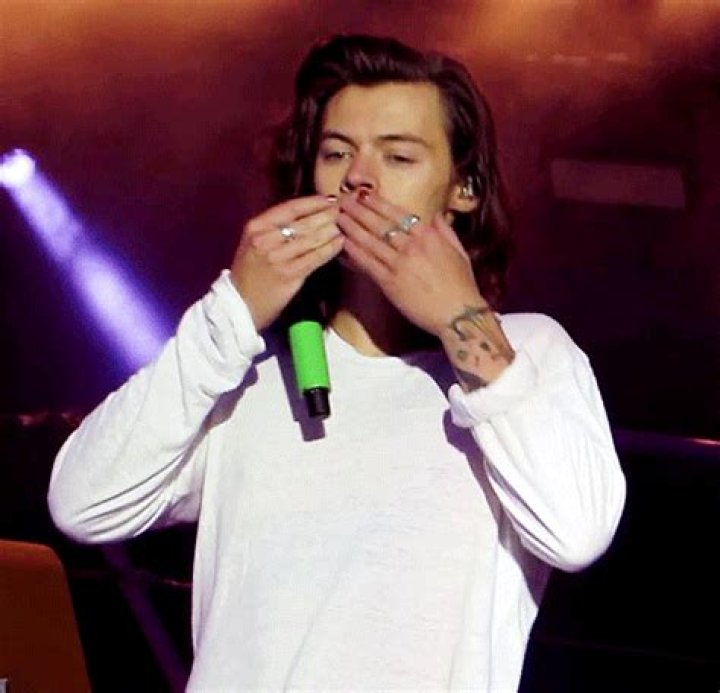 1D Fans Give Just Met Harry Styles 22nd Birthday Charity Goal