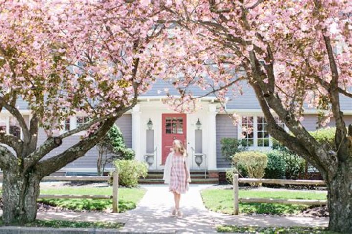 Abby Capalbo Net Worth, Age, Height, Bio, Birthday, Wiki!