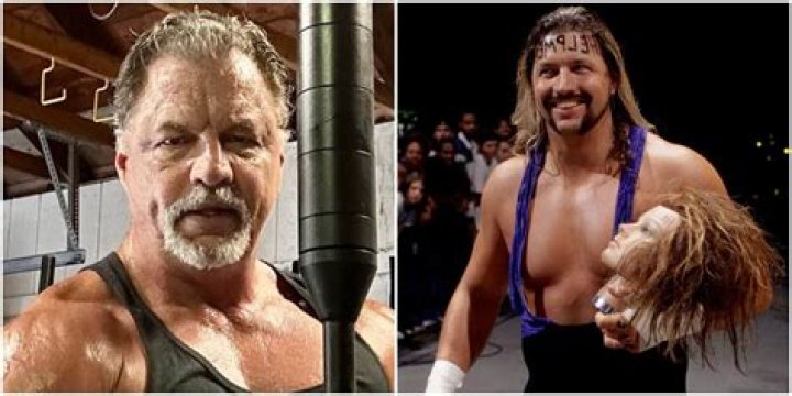 Fame | Al Snow net worth and salary income estimation Jan, 2024