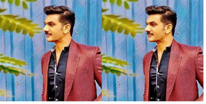 Fame | Alihassan Turabi net worth and salary income estimation Apr, 2024