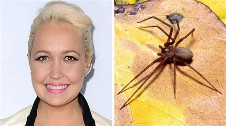 'Voice' alum Meghan Linsey shares update after venomous spider bite
