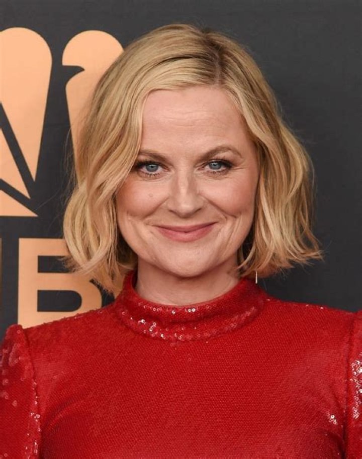 Amy Poehler - Celebrity