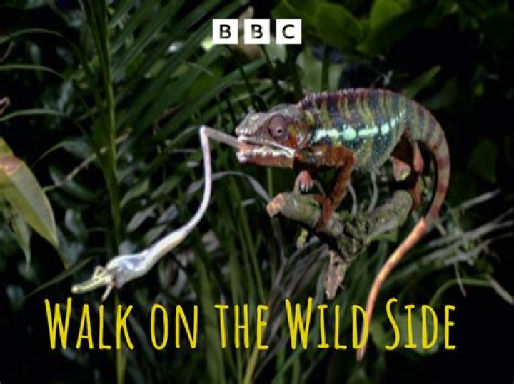 Anne and Robin Twist are taking a walk on the wildside.