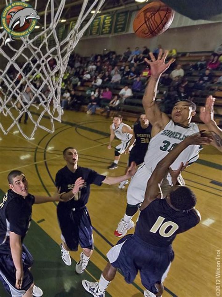 Avery Scharer - Net Worth, Age, Height, Birthday, Bio, Wiki!