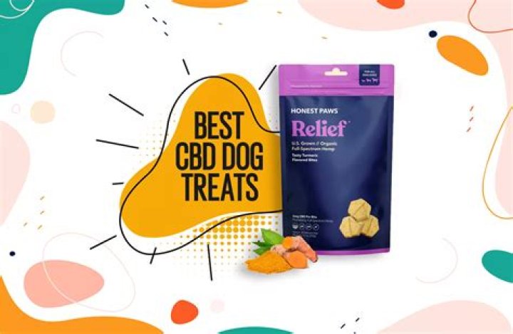 Best CBD Dog Treats: Guide & Top Brands