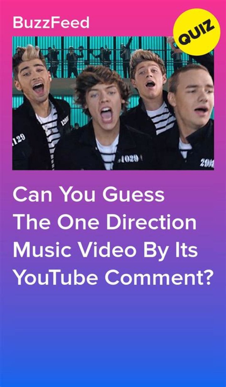 Can You Guess the One Direction Music Video?