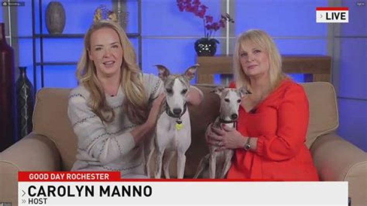 Carolyn Manno Biography, Family, Everything About The Sports Journalist