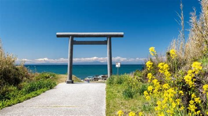 Chiba Eri’s Boyfriend: Who is Chiba Eri Dating?