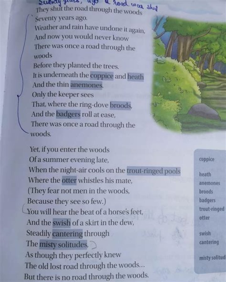 CONT4MIN4TED takes listeners on a self-created alternative electronic journey in their awesome sophomore album titled "This Is The Way"
