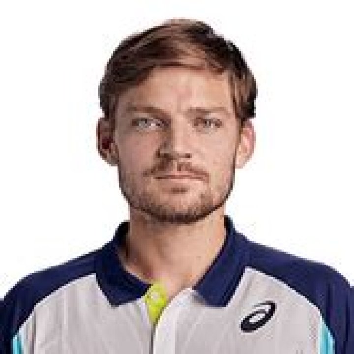 David Goffin - Net Worth, Age, Height, Birthday, Bio, Wiki!