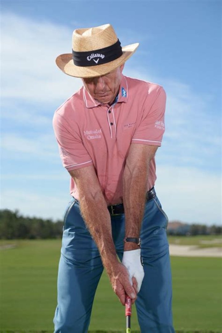 David Leadbetter | Bio, Age, Net Worth, Relationship, Career