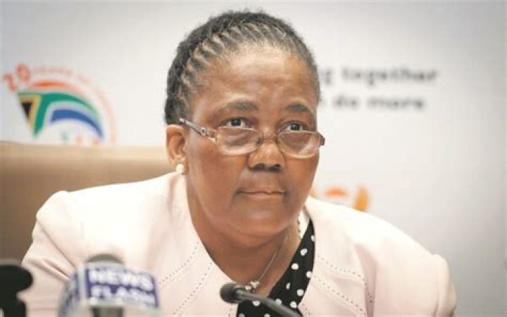 Dipuo Peters Biography: Qualifications, Husband, Age, Net Worth, Wikipedia, Contact Details, Photos