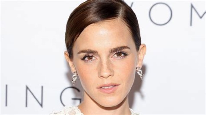 Emma Watson To Take A Year Long Break From Acting To Pursue Role As An Activist