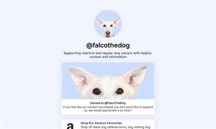 Falco The Dog Net Worth, Age, Height, Bio, Birthday, Wiki!