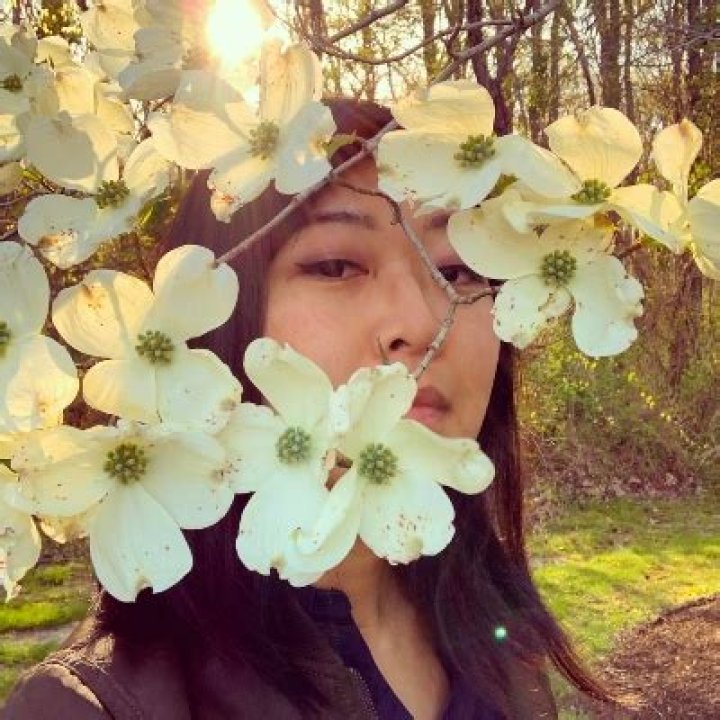 Frankie Huang - Net Worth, Age, Height, Birthday, Bio, Wiki!