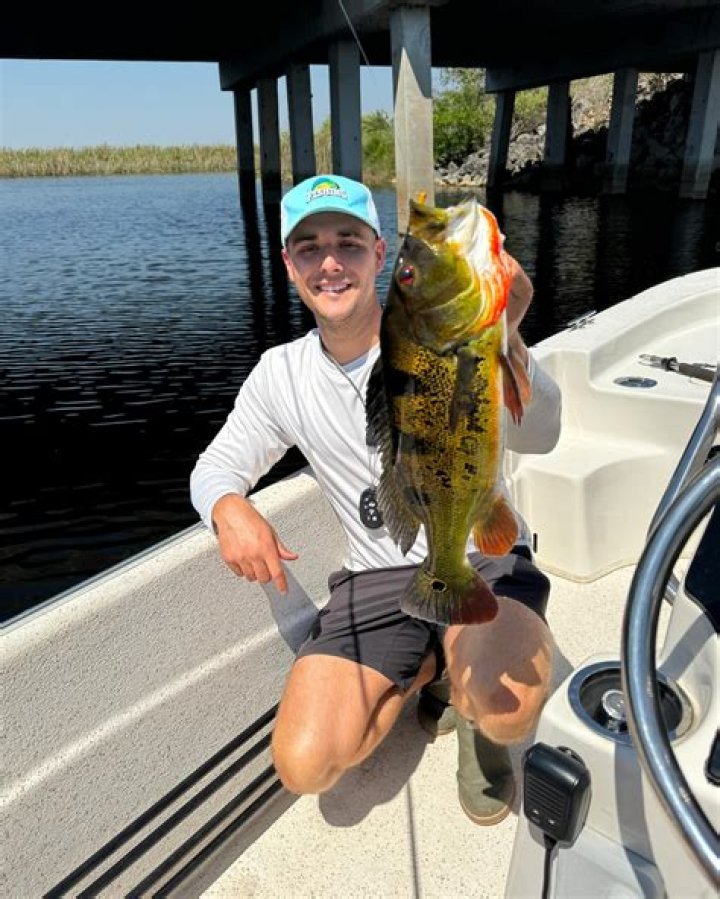 Franklin Seeber Net Worth, Age, Height, Bio, Birthday, Wiki!