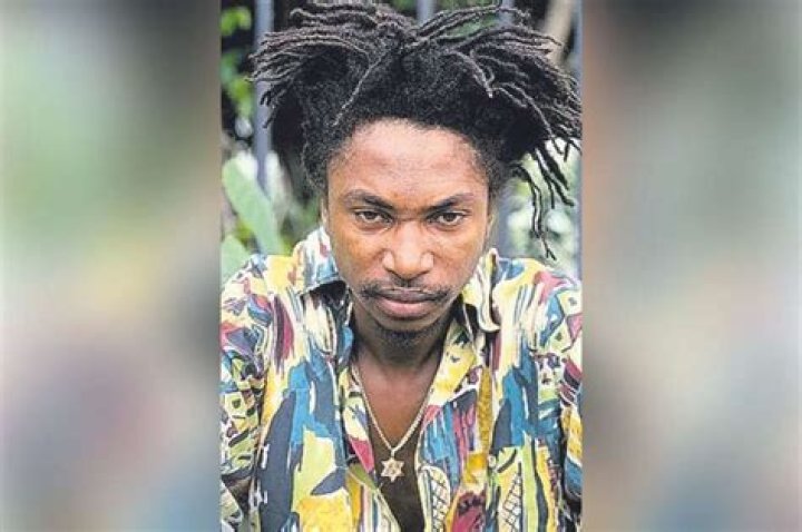 Garnett Silk Net Worth 2024, Age, Height, Bio, Birthday, Wiki!