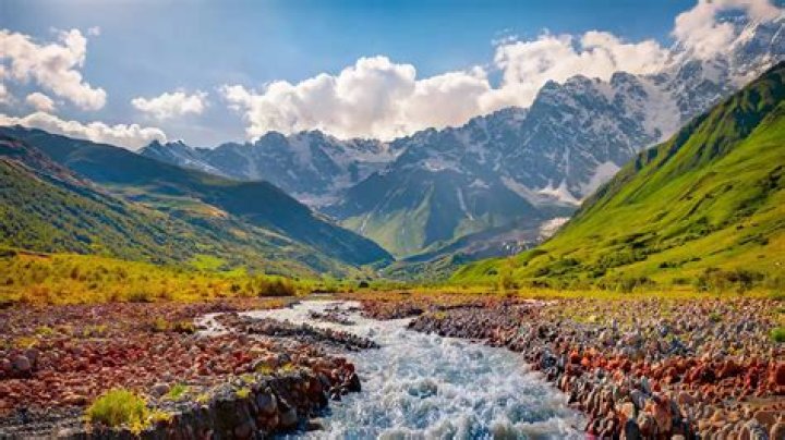 Famous People Born In Georgia