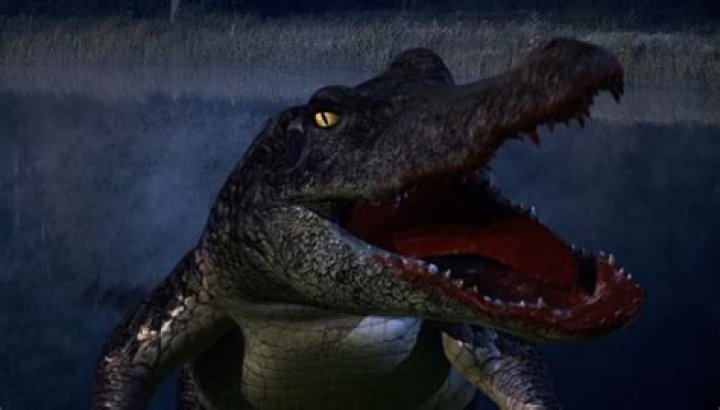 Grimm Recap – Don’t Go in the Water! Season 5 Episode 8 “A Reptile Dysfunction”