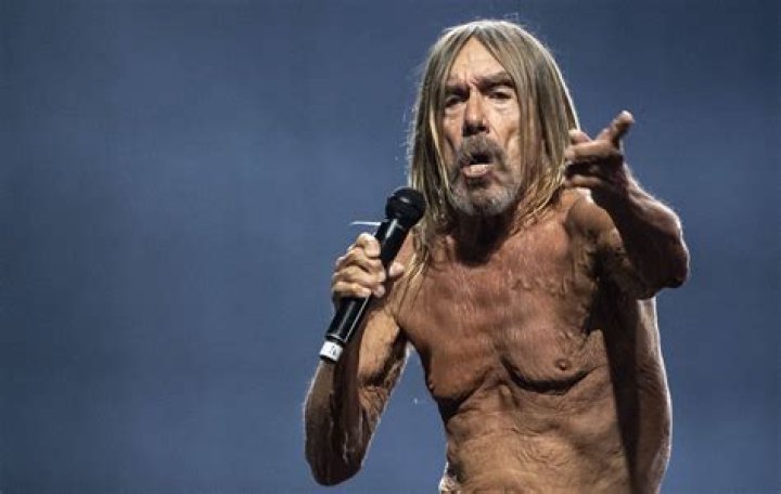 Iggy Pop Net Worth, Age, Height, Bio, Birthday, Wiki!