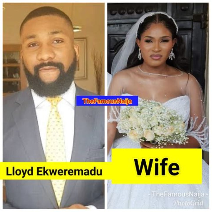 Ike Ekweremadu Biography: Wife, Age, Children, Net Worth, House, Family, Jail, News, Daughter, Phone Number, News