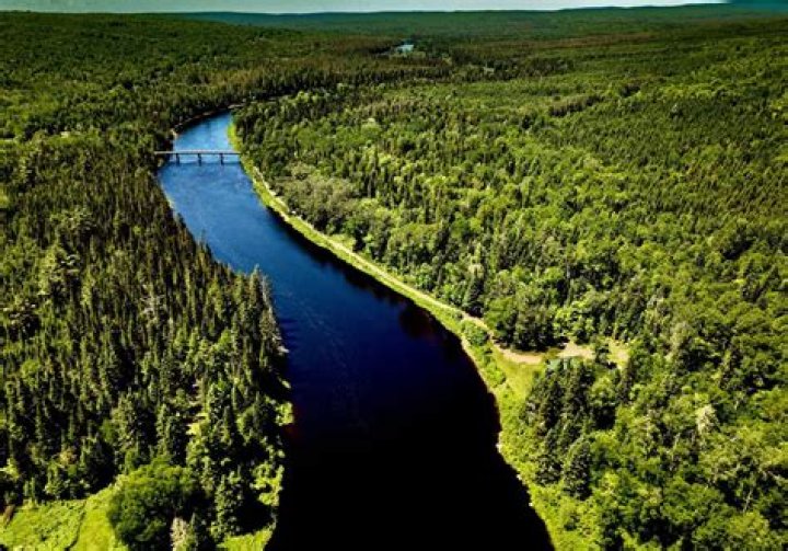 John River - Net Worth, Age, Height, Birthday, Bio, Wiki!