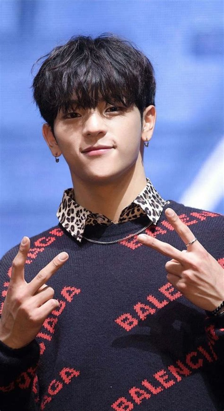 Woojin Net Worth, Age, Height, Bio, Birthday, Wiki!