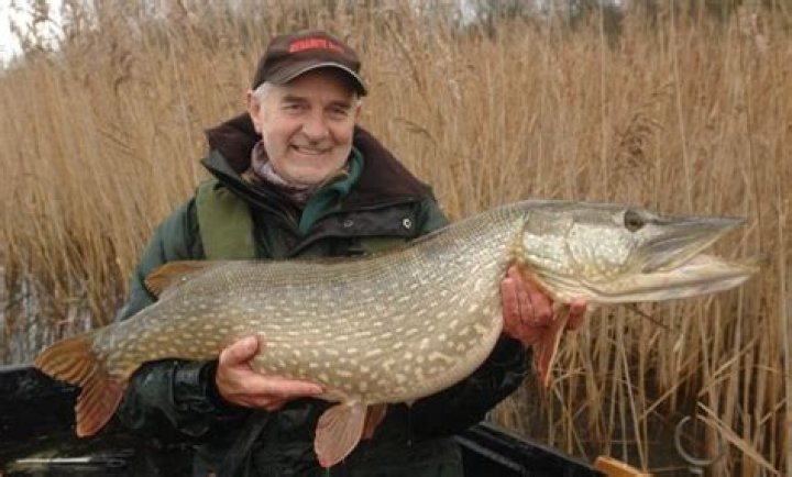 Fame | Mick Brown (angler) net worth and salary income estimation Jan, 2024