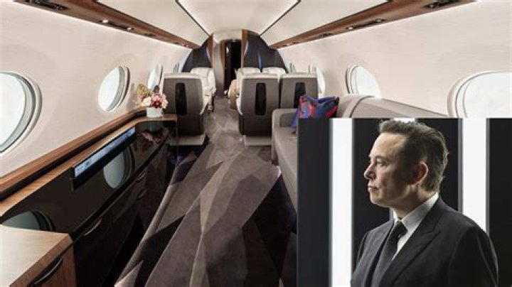 Natasha Bassett Was Seen On A Private Plane With Elon Musk