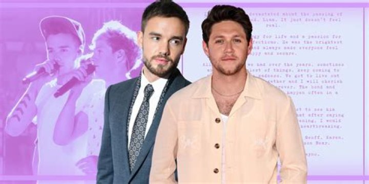 Niall Horan and Liam Payne, The Mutual Adoration