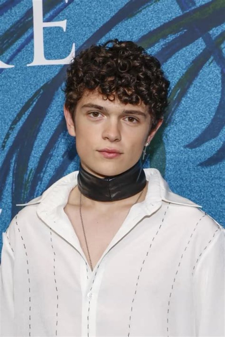 Noah Jupe Biography: Age, Height, Parents, Net Worth, Movies, Instagram, Girlfriend, TV Shows, Interview, Siblings, Stranger Things, Wikipedia
