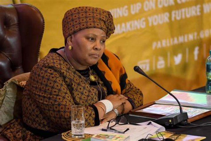 Nosiviwe Mapisa-Nqakula Biography: Age, Husband, Qualifications, Net Worth, Children, Son, Salary, Family
