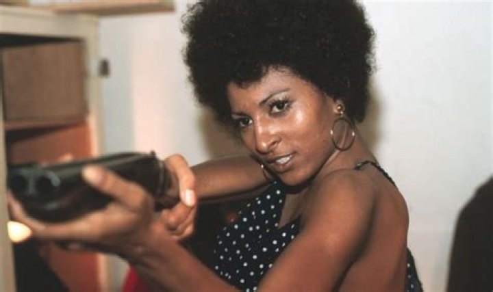 Fame | Pam Grier net worth and salary income estimation Jan, 2024