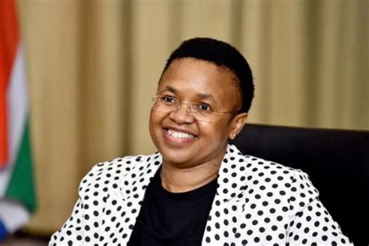 Phindile Baleni Biography: Age, Husband, Net Worth, Wikipedia, Education, Contact Details, Linkedin