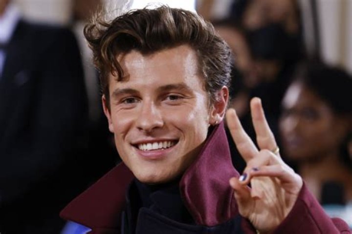 Shawn Mendes Sings New Song at Friends' Wedding