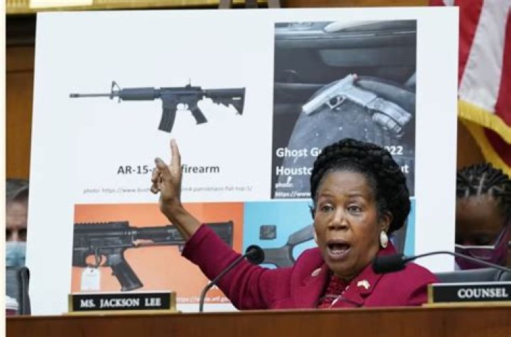 Fame | Sheila Jackson Lee net worth and salary income estimation Mar, 2024