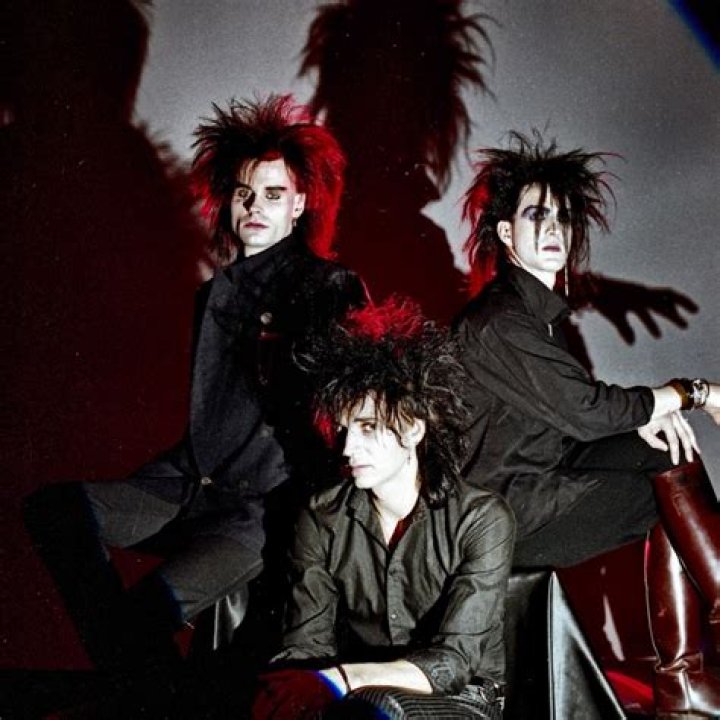 Fame | Skinny Puppy net worth and salary income estimation Jan, 2024