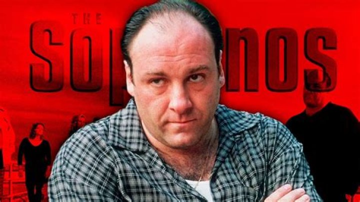Fame | "The Sopranos" net worth and salary income estimation Jan, 2024