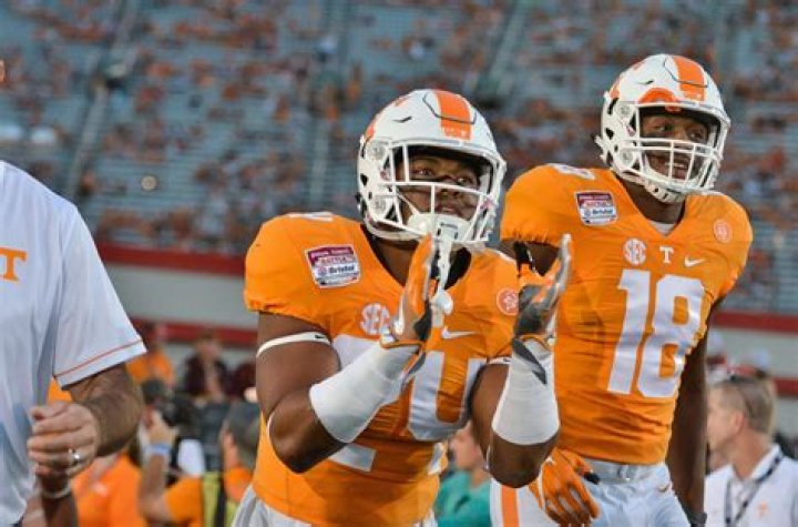 Todd Kelly - Net Worth, Age, Height, Birthday, Bio, Wiki!