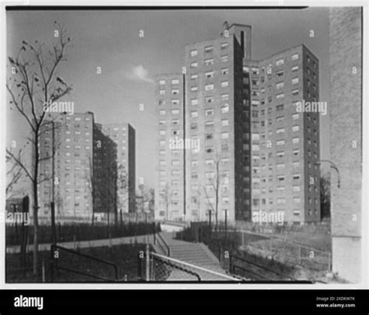 Troy Ave Net Worth, Age, Height, Bio, Birthday, Wiki!