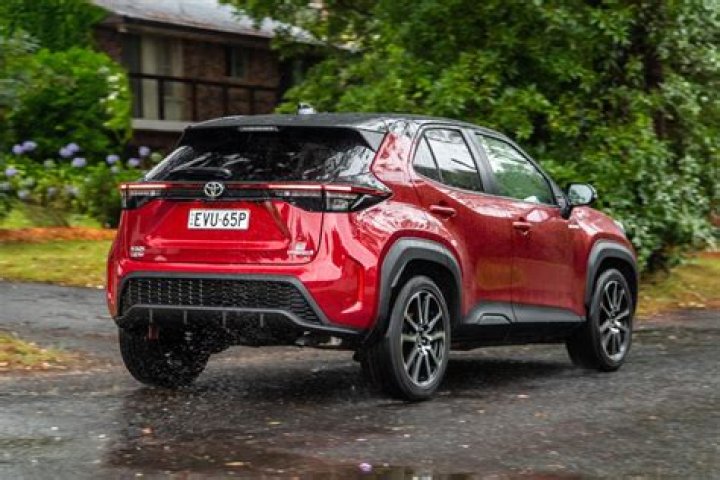 Yary Perez’s Boyfriend: Who is Yary Perez Dating?